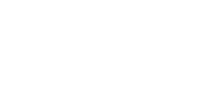 Shopify Partner